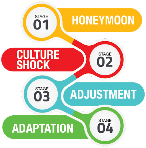 Stages of Cultural Adjustment