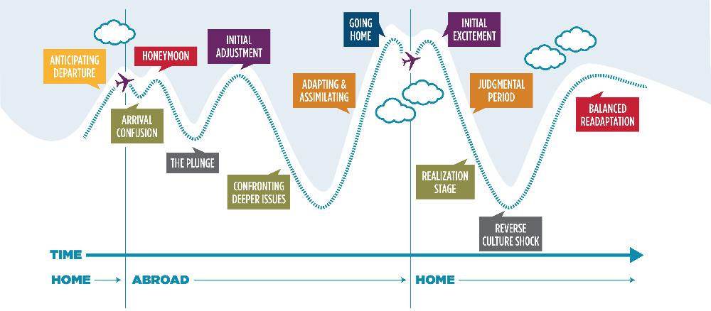 IES Re-entry Resource Graphic